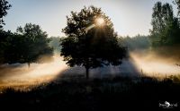 wahner heide