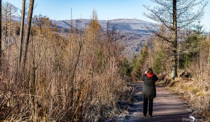 Wernigerode, Harz